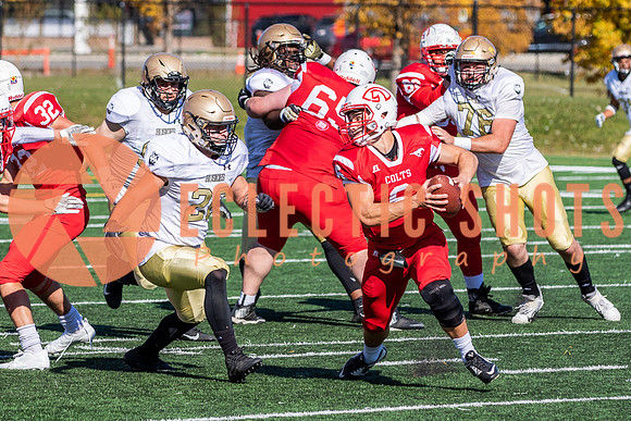 CalgaryColts-1376