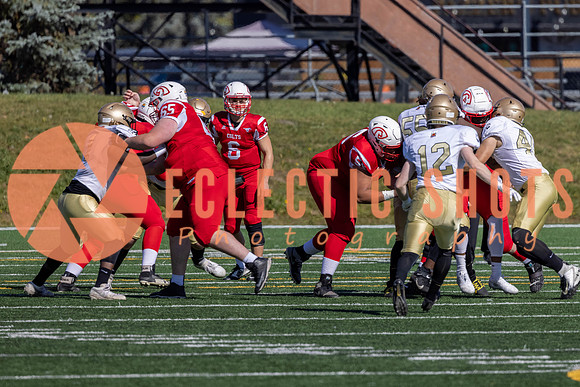 CalgaryColts-9119
