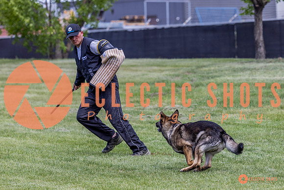2025-K9Force-MayExams-6930