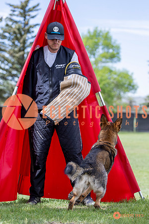 2025-K9Force-MayExams-6324