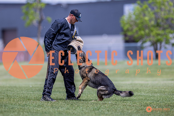 2025-K9Force-MayExams-7802