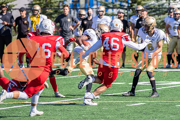 CalgaryColts-0509