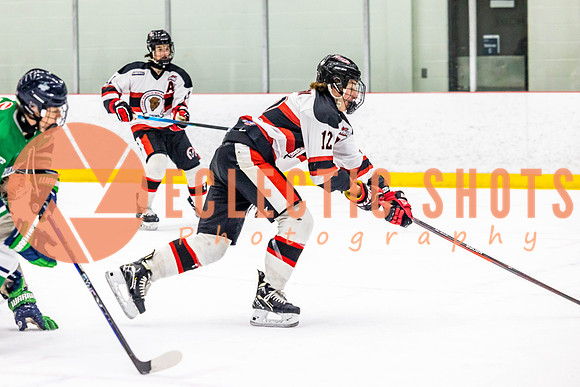 2022.11.11CalBisons-FVTBirds-3957