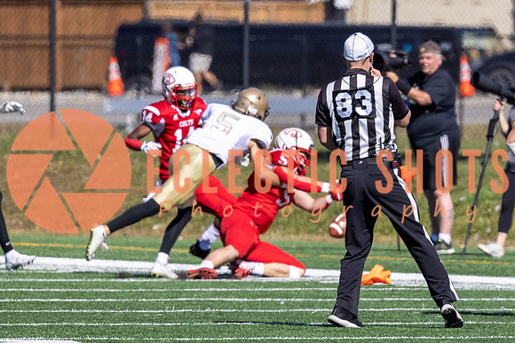 CalgaryColts-9505
