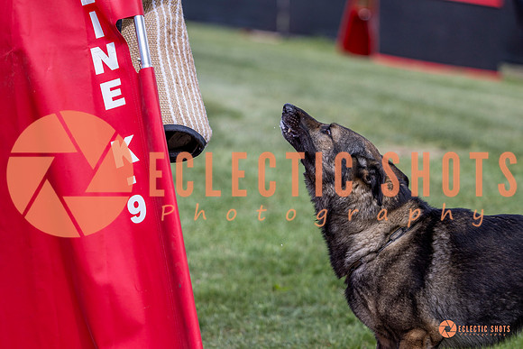 2025-K9Force-MayExams-6868