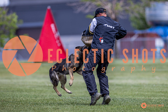 2025-K9Force-MayExams-7766