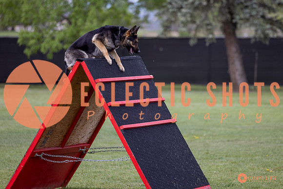 2025-K9Force-MayExams-5759
