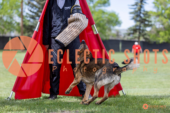 2025-K9Force-MayExams-6314