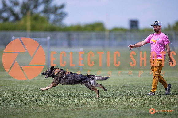 2025-K9Force-MayExams-7730