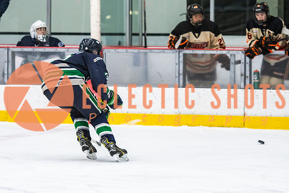 RMC2021-11-12-LloydBobcats-FVT-Birds-6150