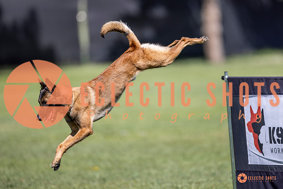 2025-K9Force-MayExams-8220