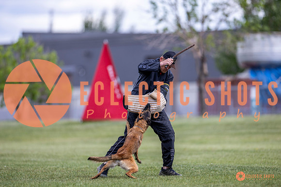 2025-K9Force-MayExams-8552