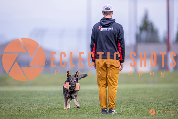 2025-K9Force-MayExams-6631