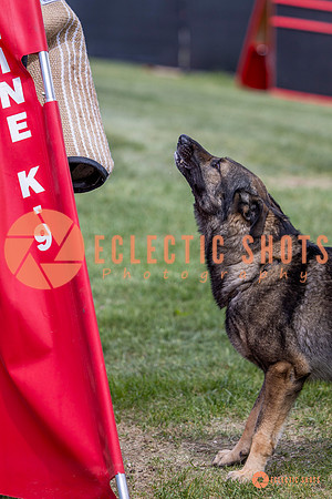 2025-K9Force-MayExams-6879