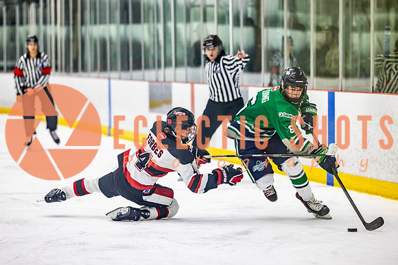 2022.11.11CalBisons-FVTBirds-4084