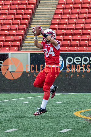 CalgaryColts2018-0804