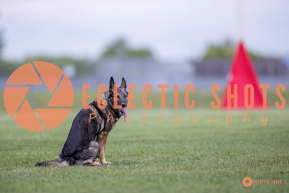 2025-K9Force-MayExams-6545