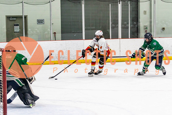 2022.11.09CalFlames-FVTBirds-0401