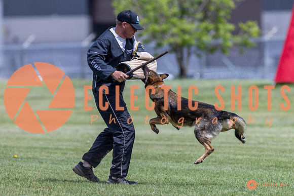 2025-K9Force-MayExams-7353