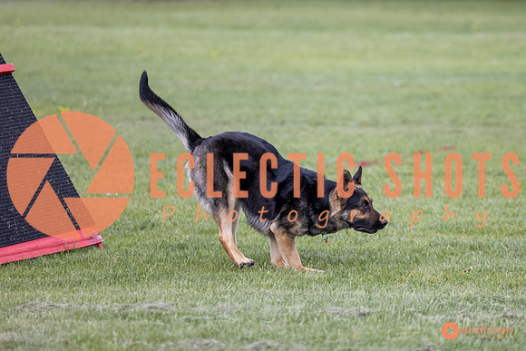 2025-K9Force-MayExams-5774