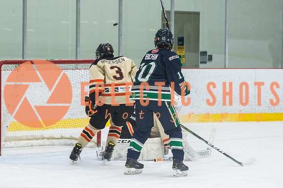 RMC2021-11-12-LloydBobcats-FVT-Birds-6102