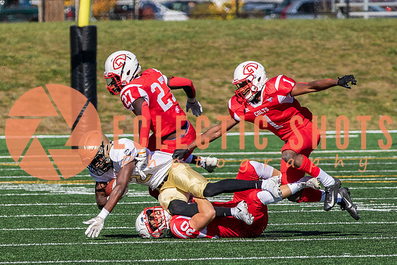 CalgaryColts-1192