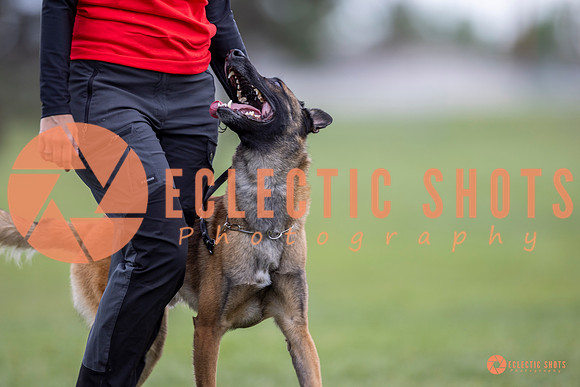 2025-K9Force-MayExams-5928