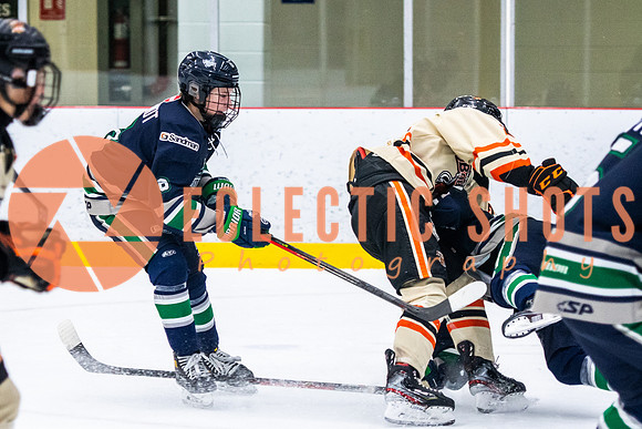 RMC2021-11-12-LloydBobcats-FVT-Birds-6057