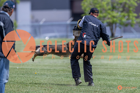 2025-K9Force-MayExams-7339