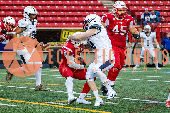 CalgaryColts2018-1454