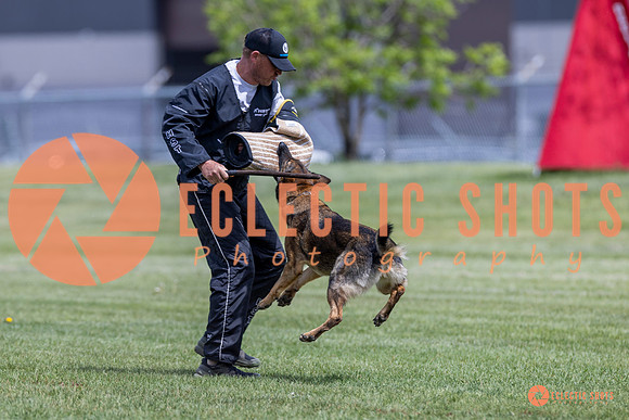 2025-K9Force-MayExams-7355