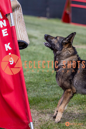 2025-K9Force-MayExams-6881