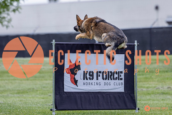 2025-K9Force-MayExams-5466