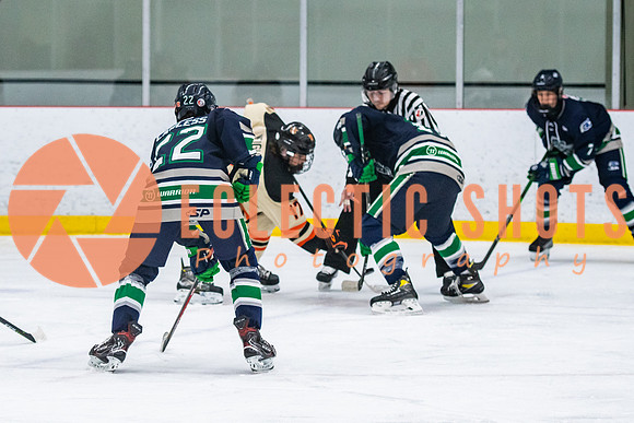 RMC2021-11-12-LloydBobcats-FVT-Birds-6063