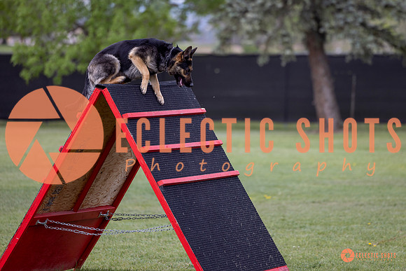 2025-K9Force-MayExams-5760