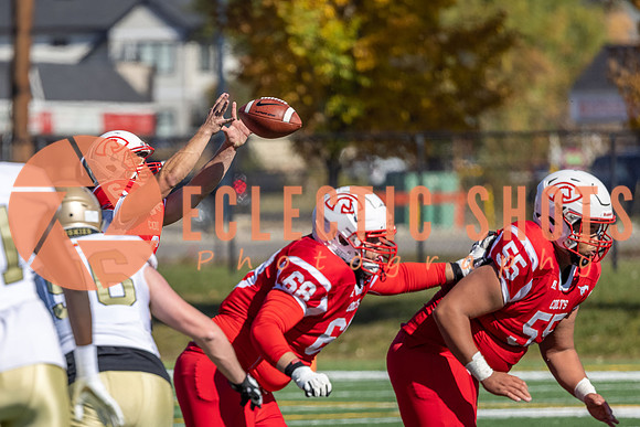 CalgaryColts-9243