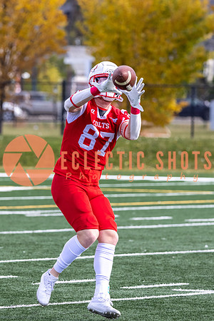 CalgaryColts-9037