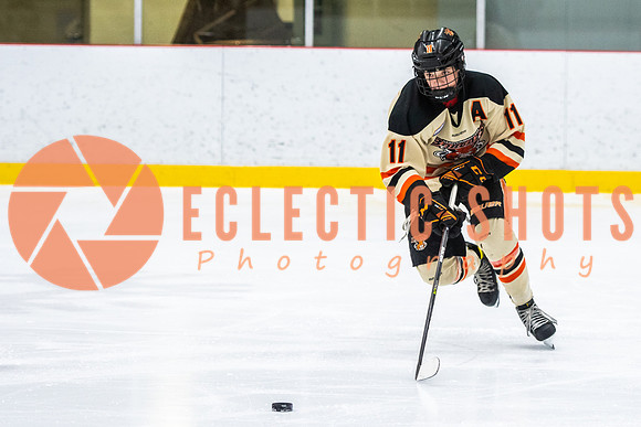 RMC2021-11-12-LloydBobcats-FVT-Birds-6015