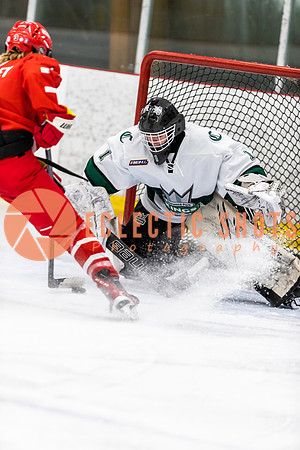 2022.11.10ShParkFlyers-OHAPenticton-3676