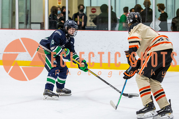 RMC2021-11-12-LloydBobcats-FVT-Birds-6167