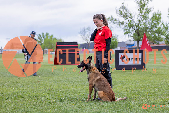 2025-K9Force-MayExams-5363