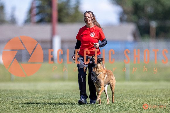 2025-K9Force-MayExams-8147
