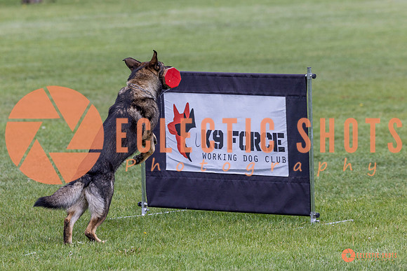 2025-K9Force-MayExams-5886