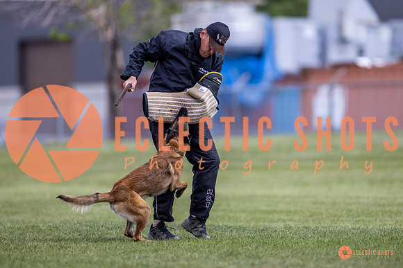 2025-K9Force-MayExams-8566