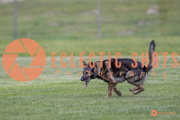 2025-K9Force-MayExams-6659