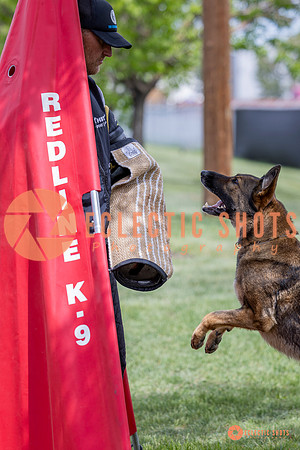 2025-K9Force-MayExams-6356