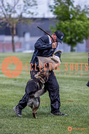 2025-K9Force-MayExams-6990