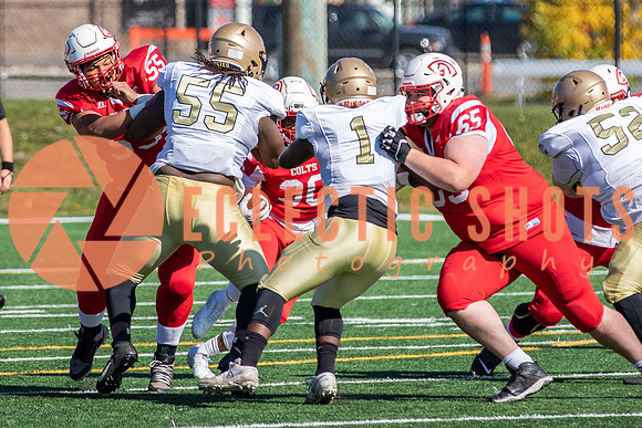 CalgaryColts-9474