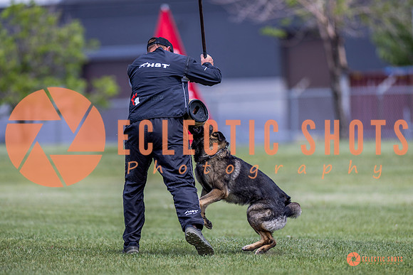 2025-K9Force-MayExams-7791