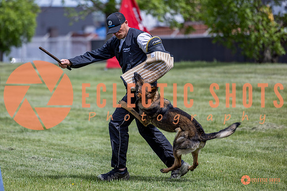 2025-K9Force-MayExams-6418